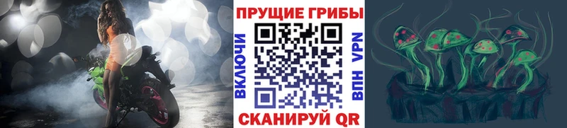 Галлюциногенные грибы ЛСД  Мыски 